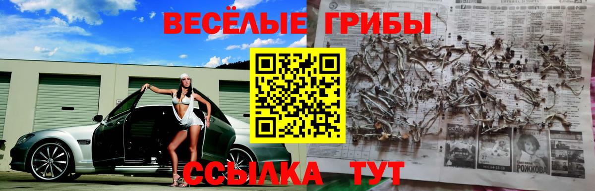 как найти   Галлюциногенные грибы мухоморы  Вход с VPN  Волжск 